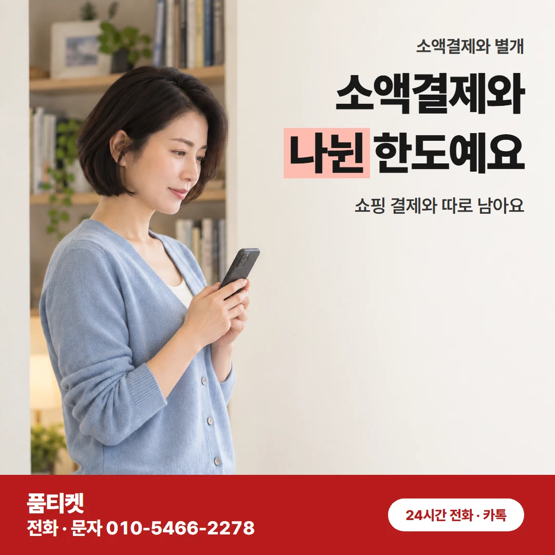 소액결제와 나뉜 한도